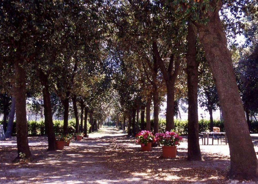 Penzion Razza Del Casalone Grosseto Exteriér fotografie